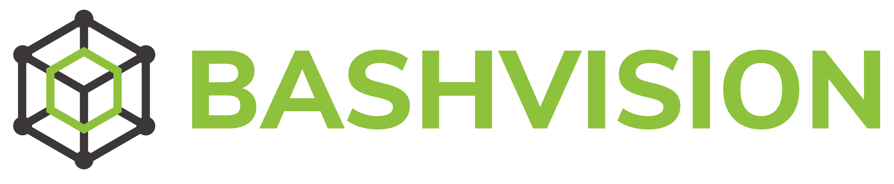BashVision